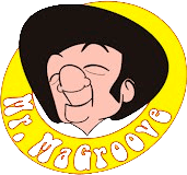 Mister Magroove Banda para Eventos de Rock